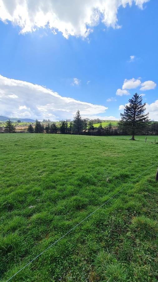 Yellow Heights Country House Tinahely Buitenkant foto